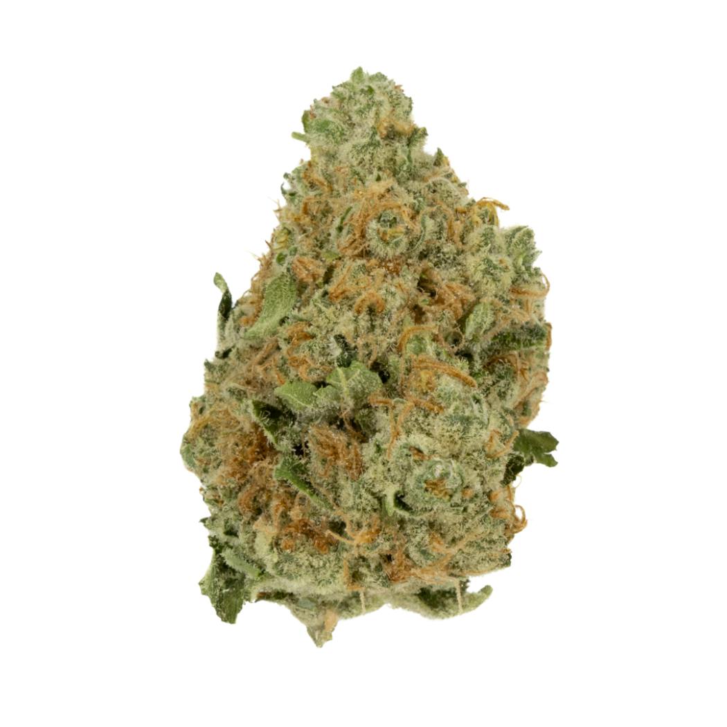 White Sunshine Flower