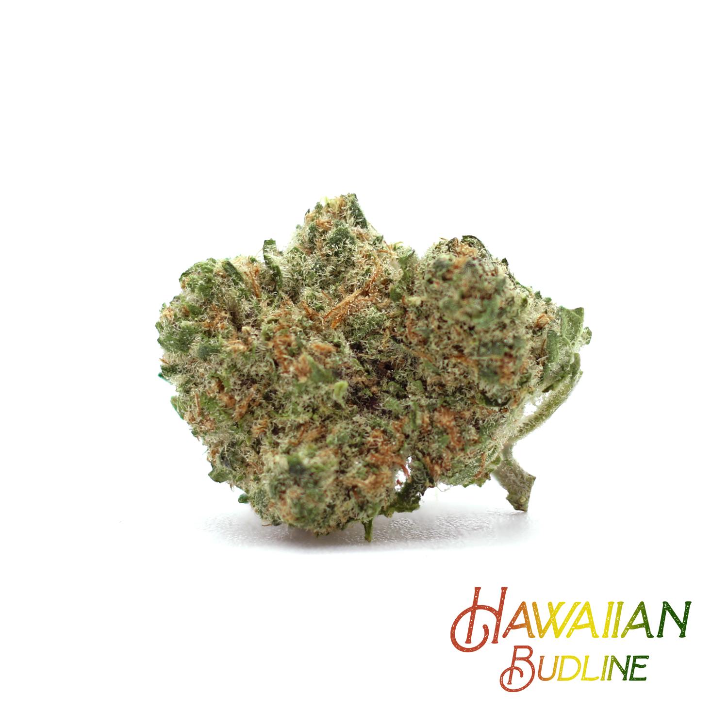 Noa Botanicals - Kaneohe