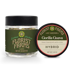 Gorilla Guava | Quarter Ounce Flower