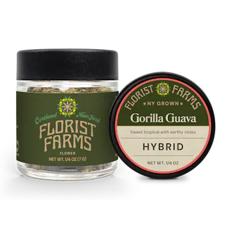 Gorilla Guava | Quarter Ounce Flower