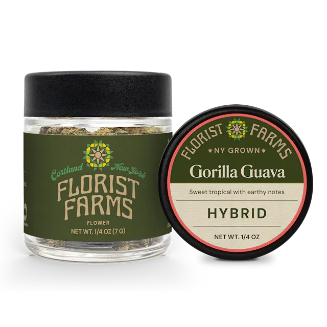 Florist Farms Gorilla Guava | Quarter Ounce Flower