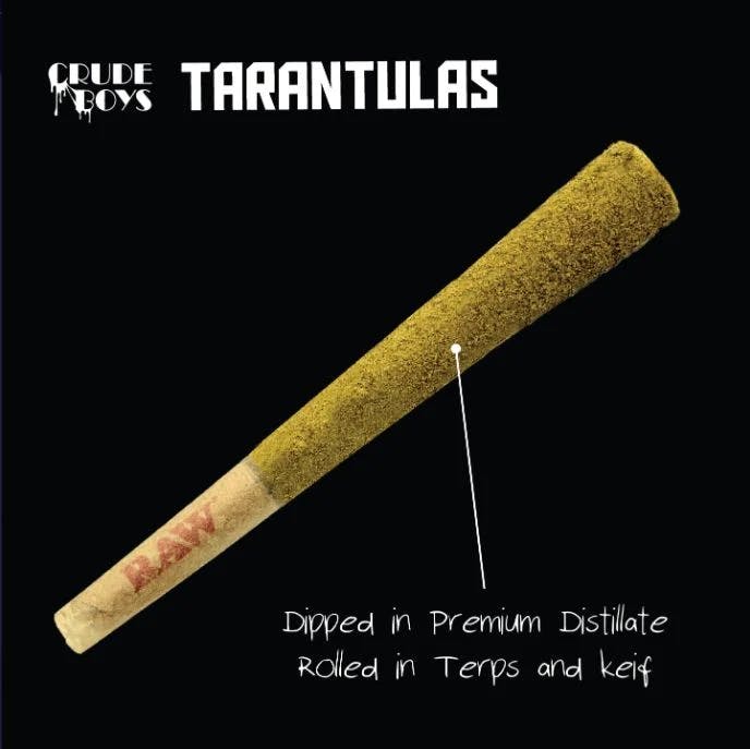 Product: Crude Boys | Magic Dragon | Tarantula Infused Pre-roll | 1.1g | Indica