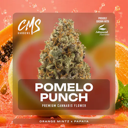 CMS Gardens – Pomelo Punch Bud Bar-active
