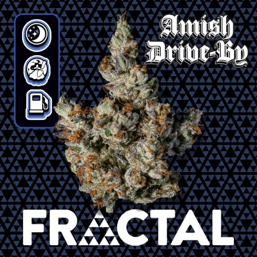 Product Image Alt