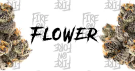Flower category image