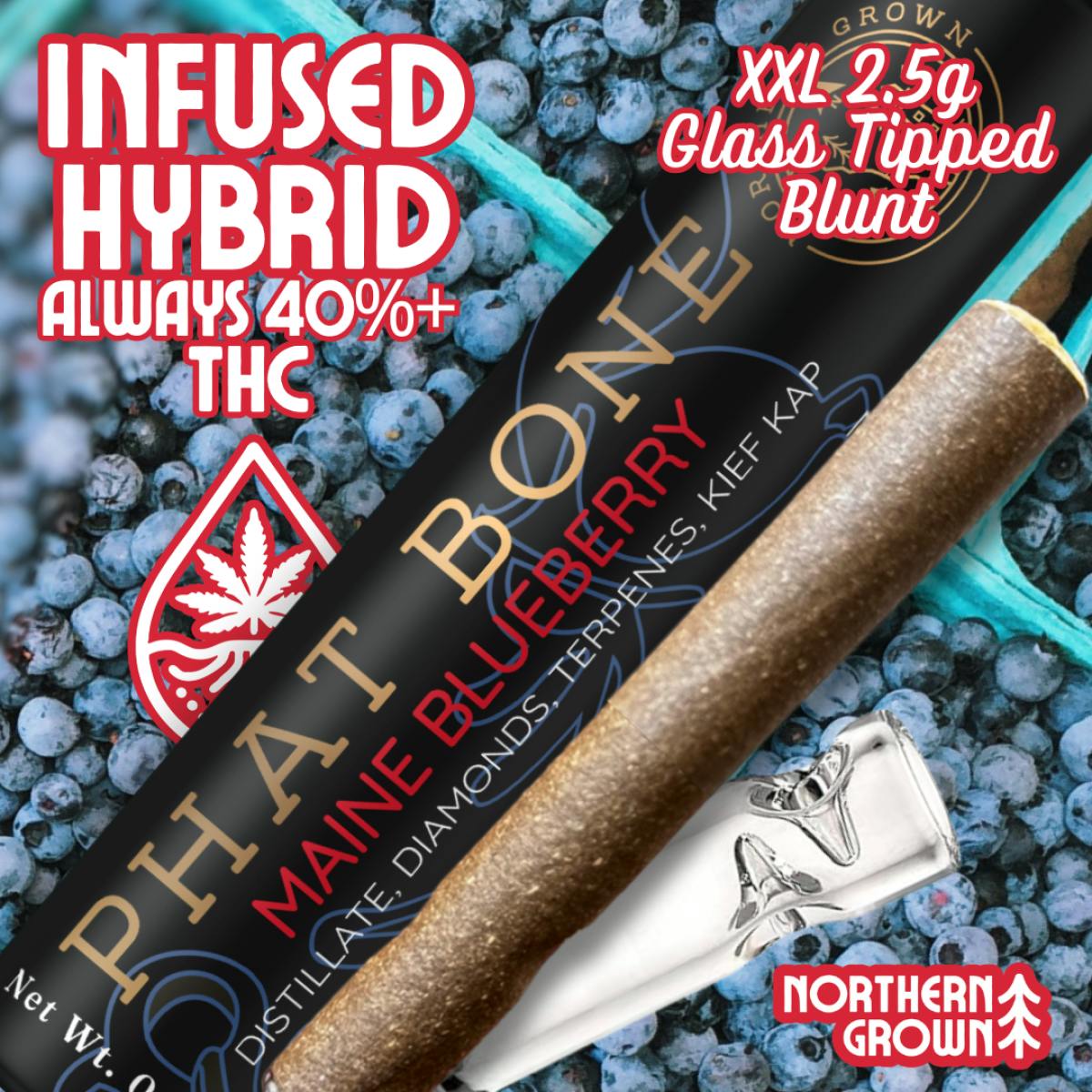 Product Maine Blueberry Phat Bone Infused Cannagar | Pre Rolls | 2.5g