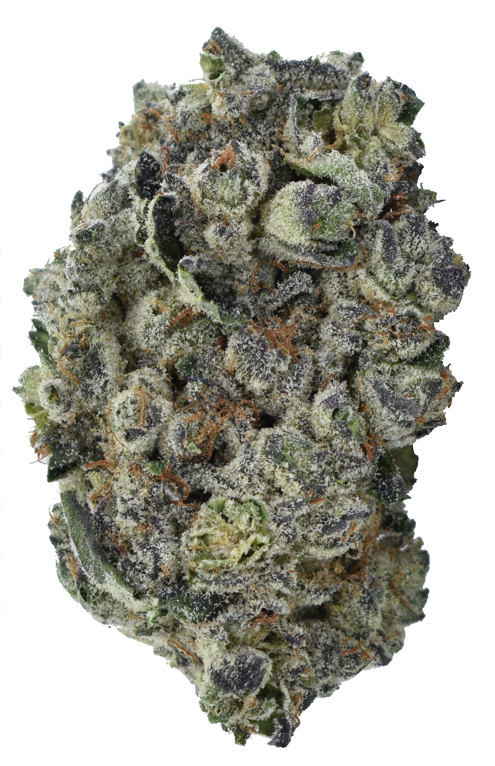 35% Cake Crasher Weed Christmas Gift