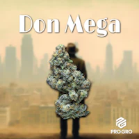 DELI - Pro Gro - Don Mega - product image at King of Budz
