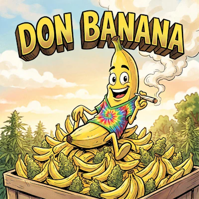 DELI - Don Banana - FLOWER by Skunk House Genetics at King of Budz