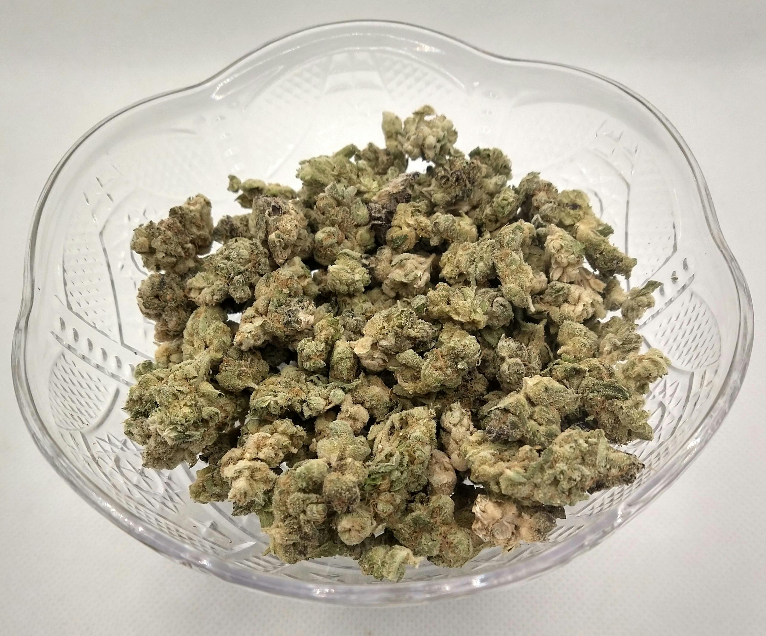 Glorious | Strawberry Letter 23 | Sativa | Bulk Flower | Gold