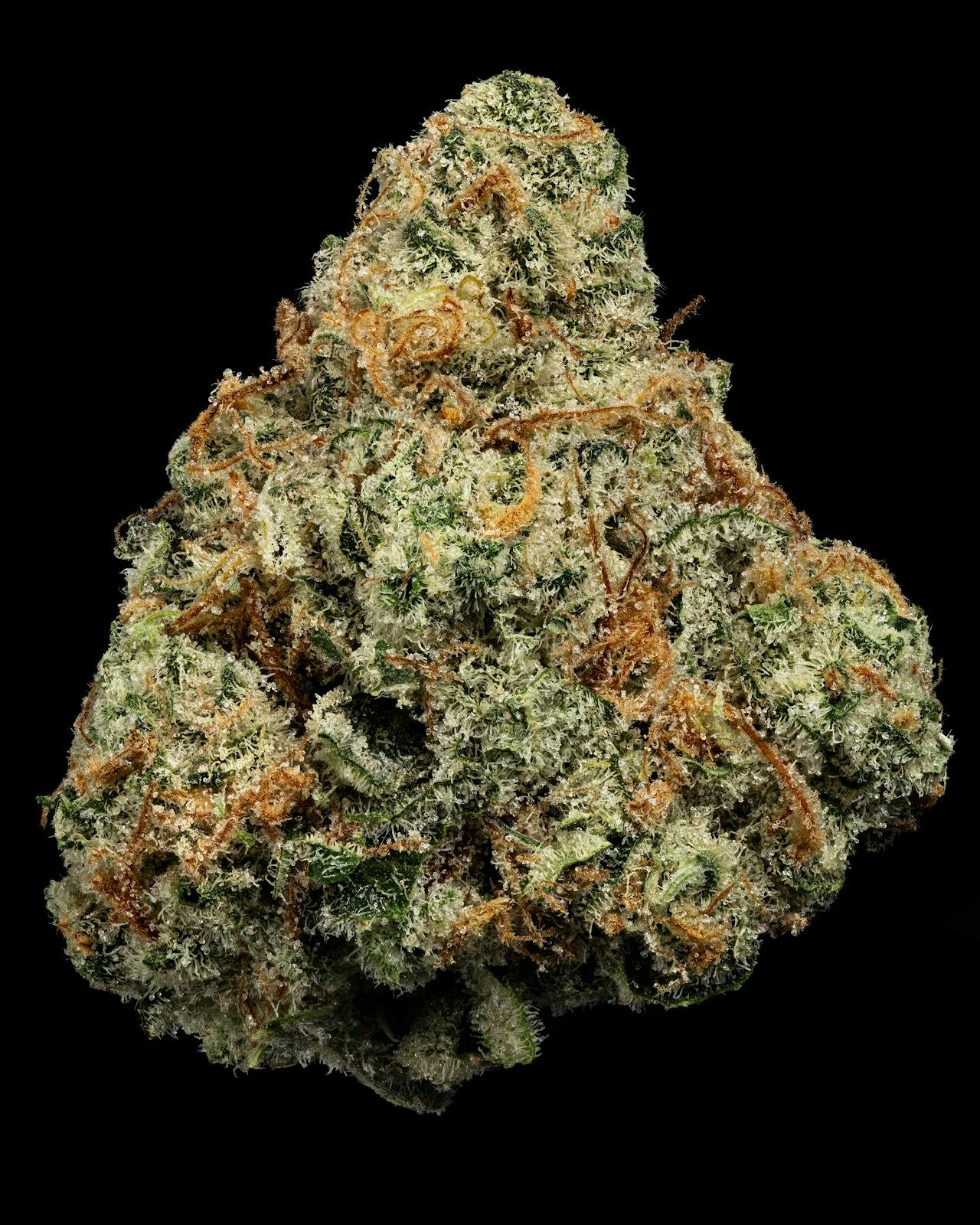 Product: U4EA Farms | Where's My Bike | Flower