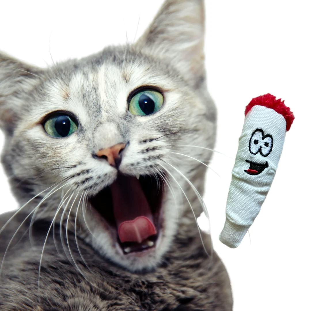PAW:20 | Cat Toy | Jay Jr. the Joint