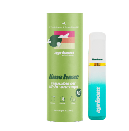 Lime Haze | All-in-one