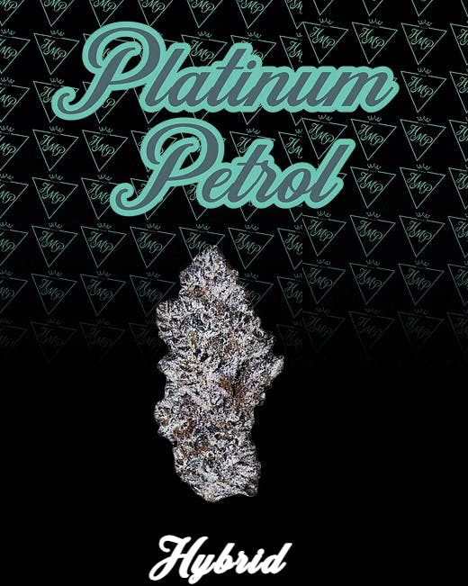 Product Platinum Petrol Buds