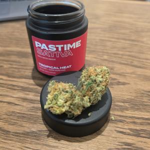 Pastime Tropical Heat