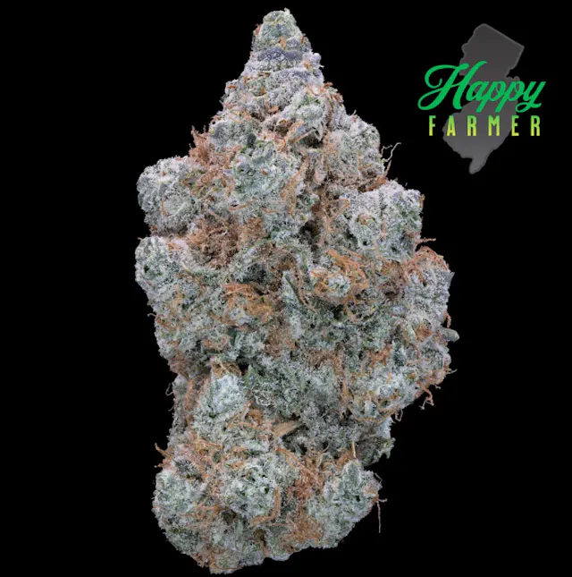 Happy Farmer Smalls G-Spot 7g (sativa hybrid, small buds)