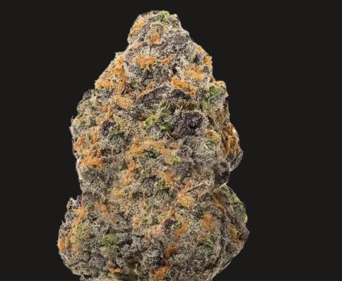 Product Canal Street Runtz Buds