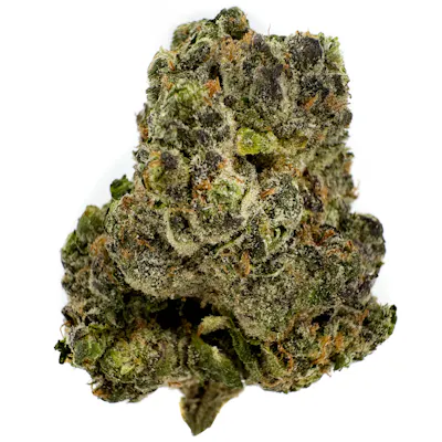 Amnesia Zerds Orange Soda Hash Rosin Gummies 200mg Rec - Exclusive