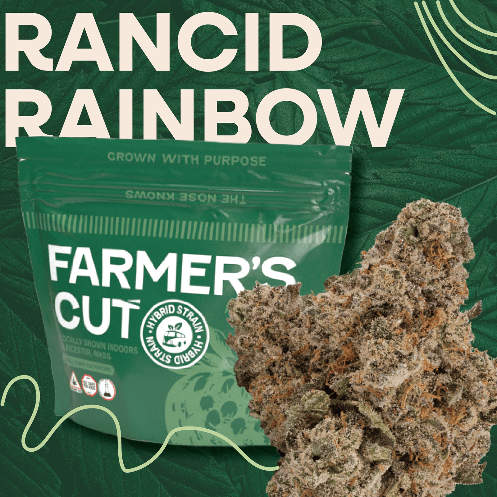 Rancid Rainbow [28g]