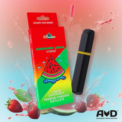 Amnesia - 1g Disposable - Watermelon Freeze