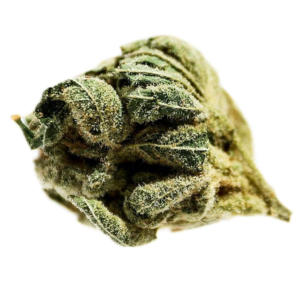 Pineapple express-1