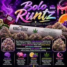 KOB - 1g Preroll - Bolo Runtz