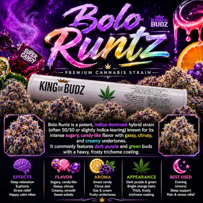 KOB - 1g Preroll - Bolo Runtz
