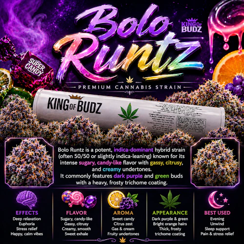 KOB - 1g Preroll - Bolo Runtz