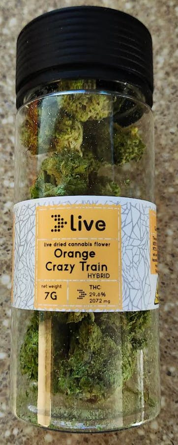 Orange Crazy Train Hybrid | Live