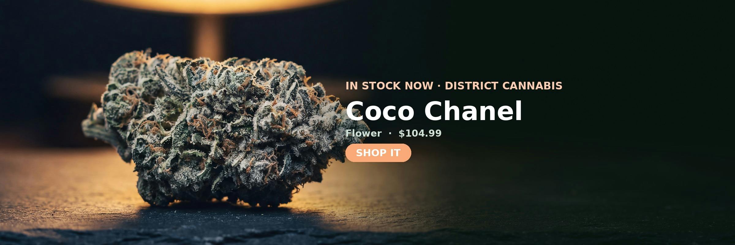 Coco Chanel in stock at Green Legacy DC — Flower, $104.99