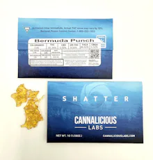 Cannalicious - 1g Shatter - Bermuda Punch