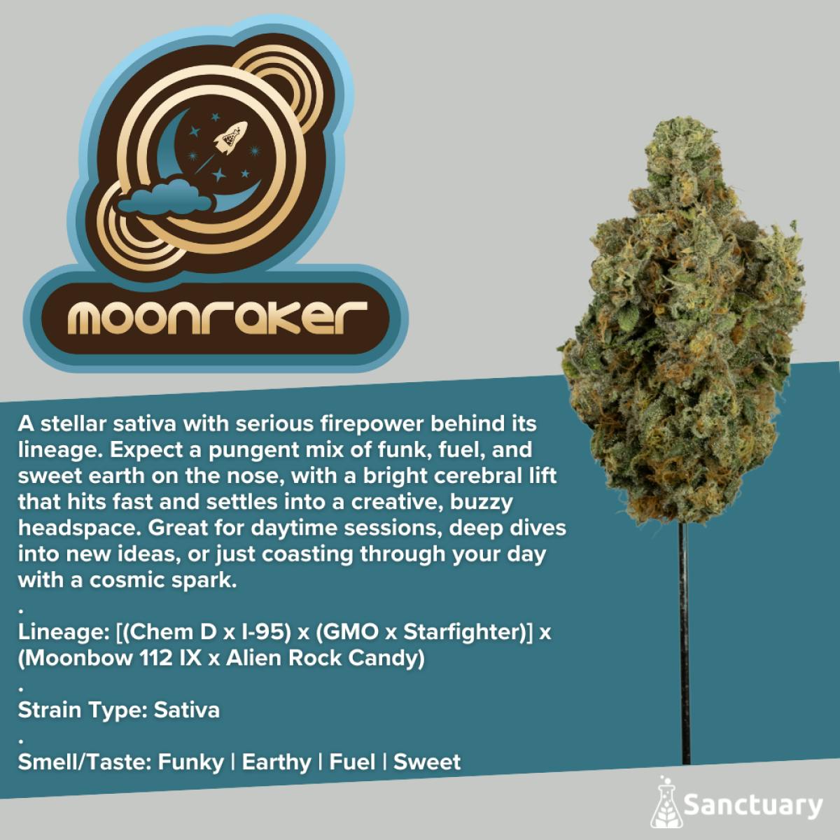 Sanctuary - Flower 3.5g - Moonraker