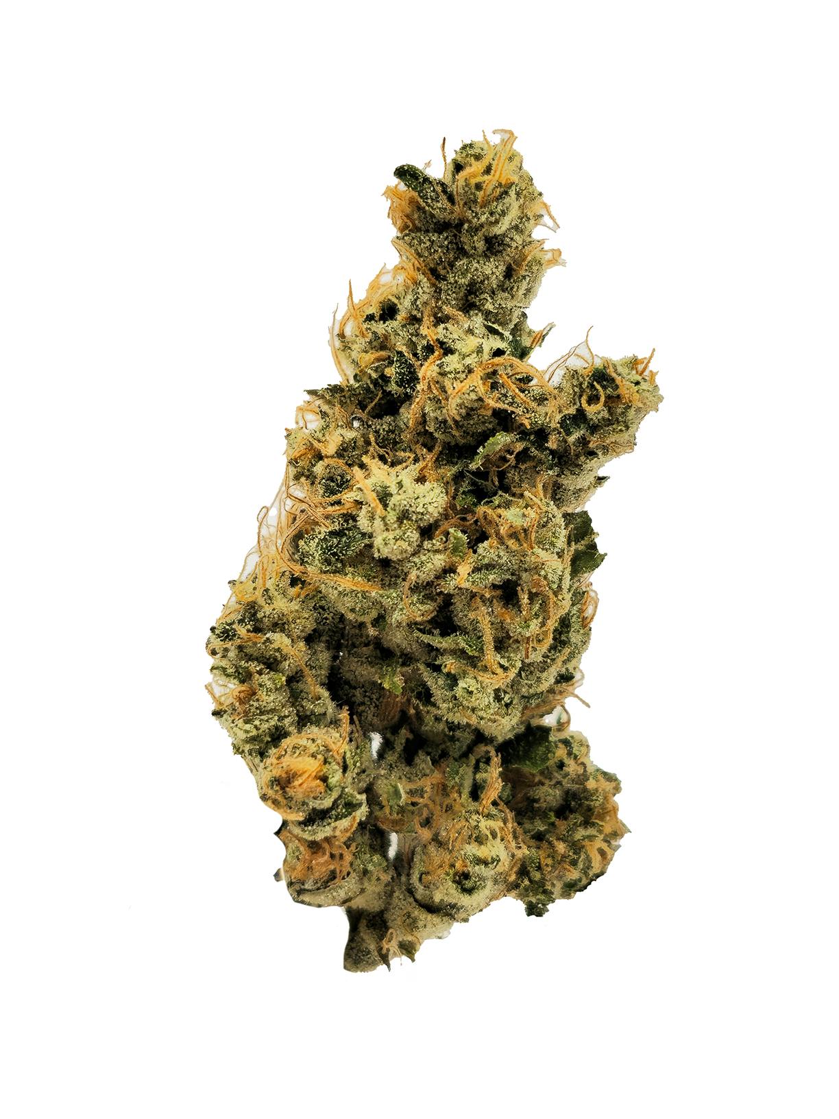 Photo of ADK Platinum Life Breath Flower