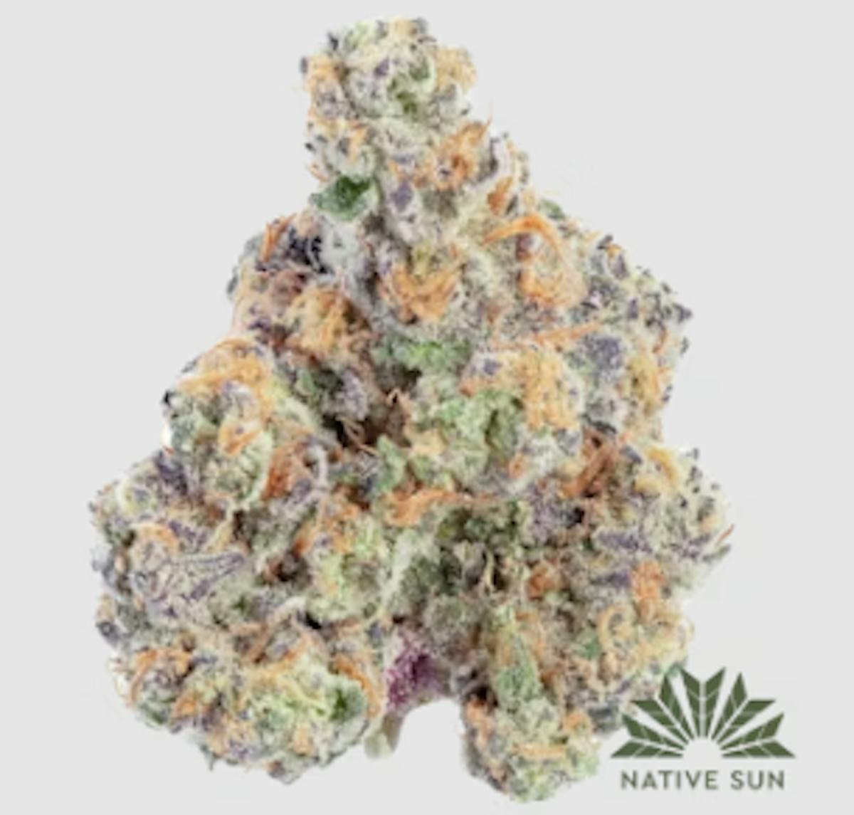 Photo of Mimosa EVO 3.5g Flower Native Sun
