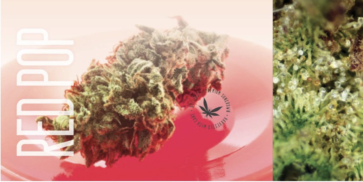 Product: Grasshopper Farms | Bulk Bud - Jealousy