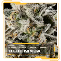 Product Realm - Blue Ninja Flower (3.5g)