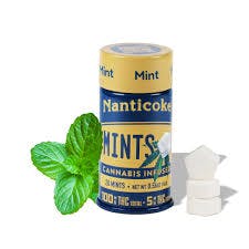 Nanticoke | Mints | 20pk | 100mg