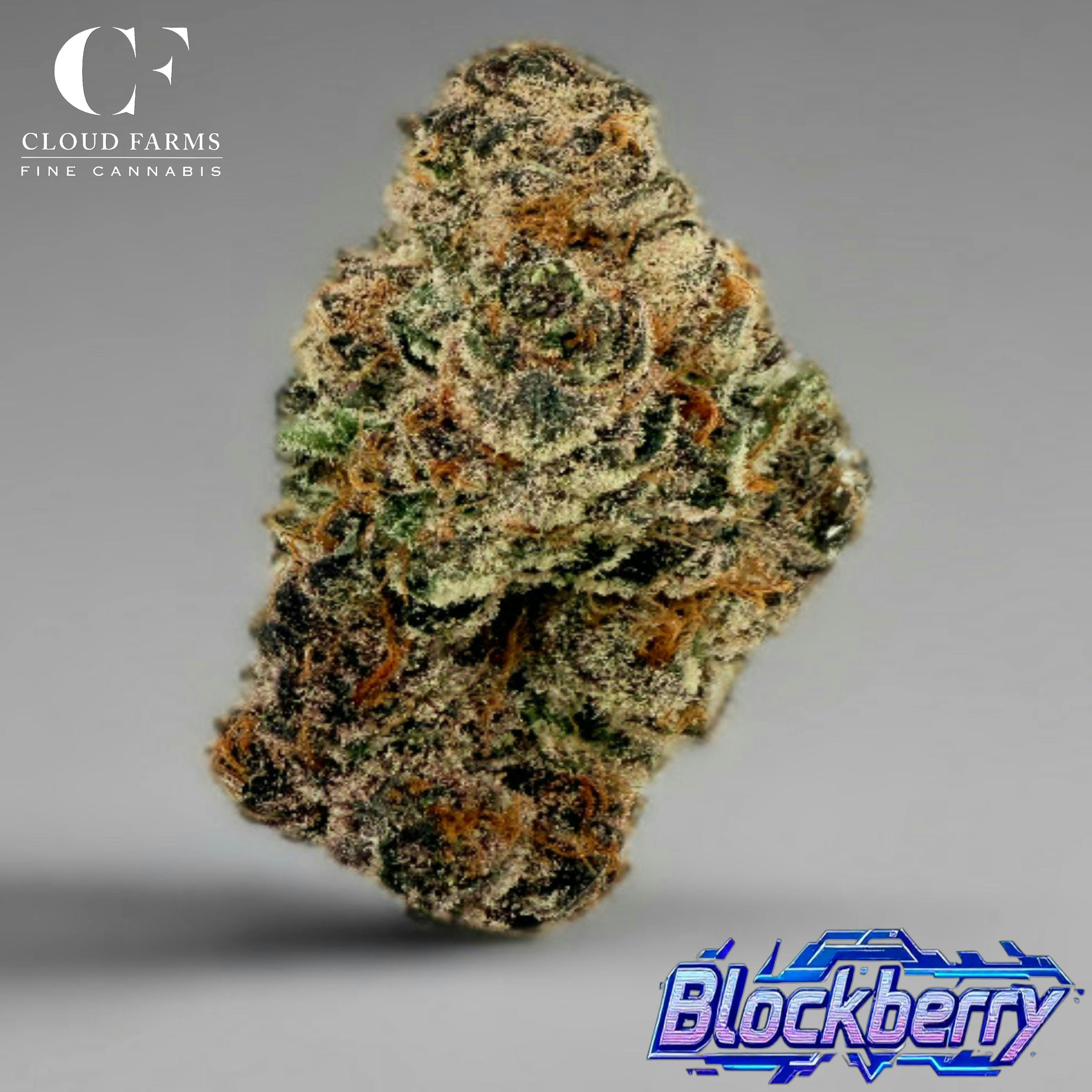 Product: Cloud Farms | Bulk Bud - Blockberry