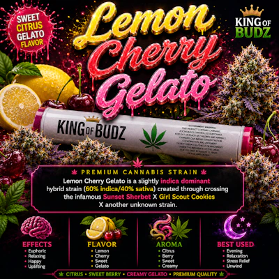 KOB - 1g Preroll - Lemon Cherry Gelato - PRE_ROLLS by King of Budz at King of Budz