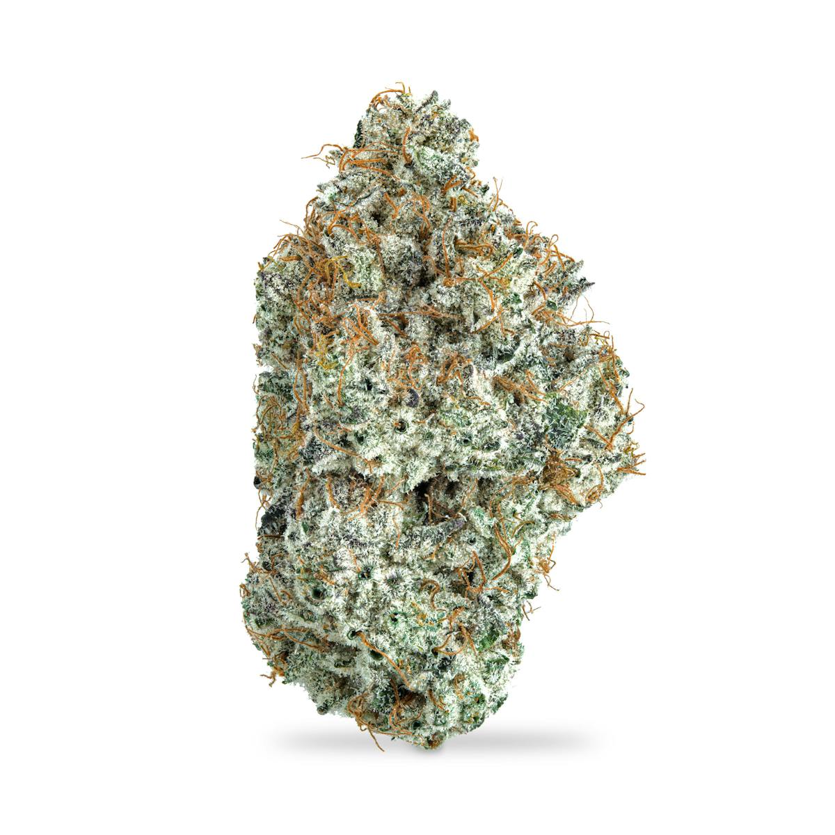 Photo of Blue Slushie #11