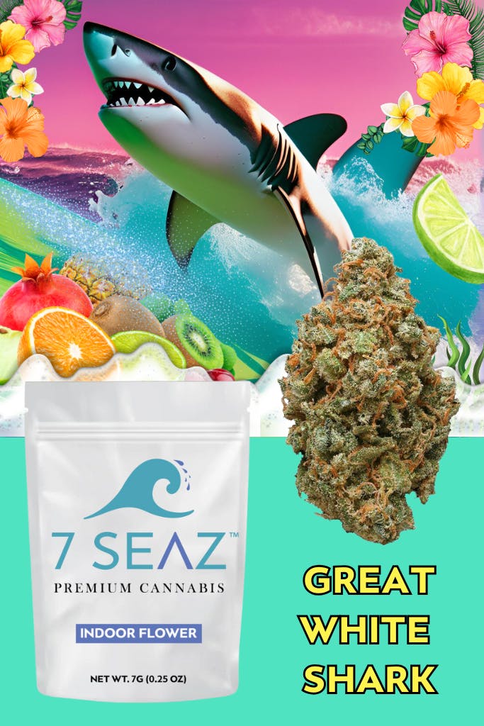 Product Great White Shark (H) | 7g | 7 Seaz