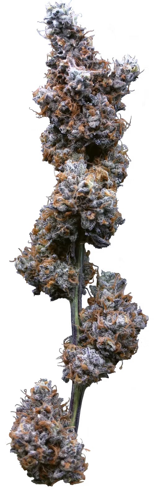 Product Pure Smorez - Flower