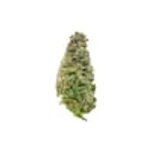 New Altitude – Lemon Slushie (3.5g)-1