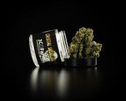 eb74b8fa7611246f9892a8d76c75571a?auto=format&fit=fill&fill=solid&fillColor=fff&__typename=ImgixSettings&ixlib=react-9.0