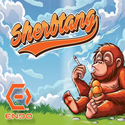 DELI - Sherbtang - FLOWER by Endo at King of Budz