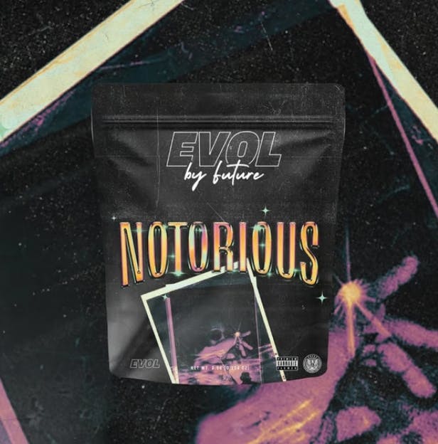 Product Legacy EVOL Flower - Notorious #1 3.5g