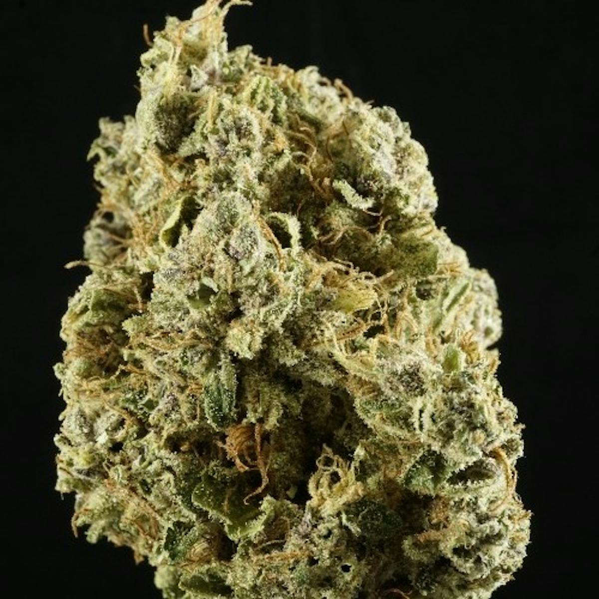 Photo of Silver Shelf – Hype Train (I)