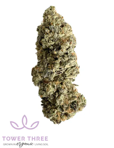 Kennstarr | Flower | 3.5g-active