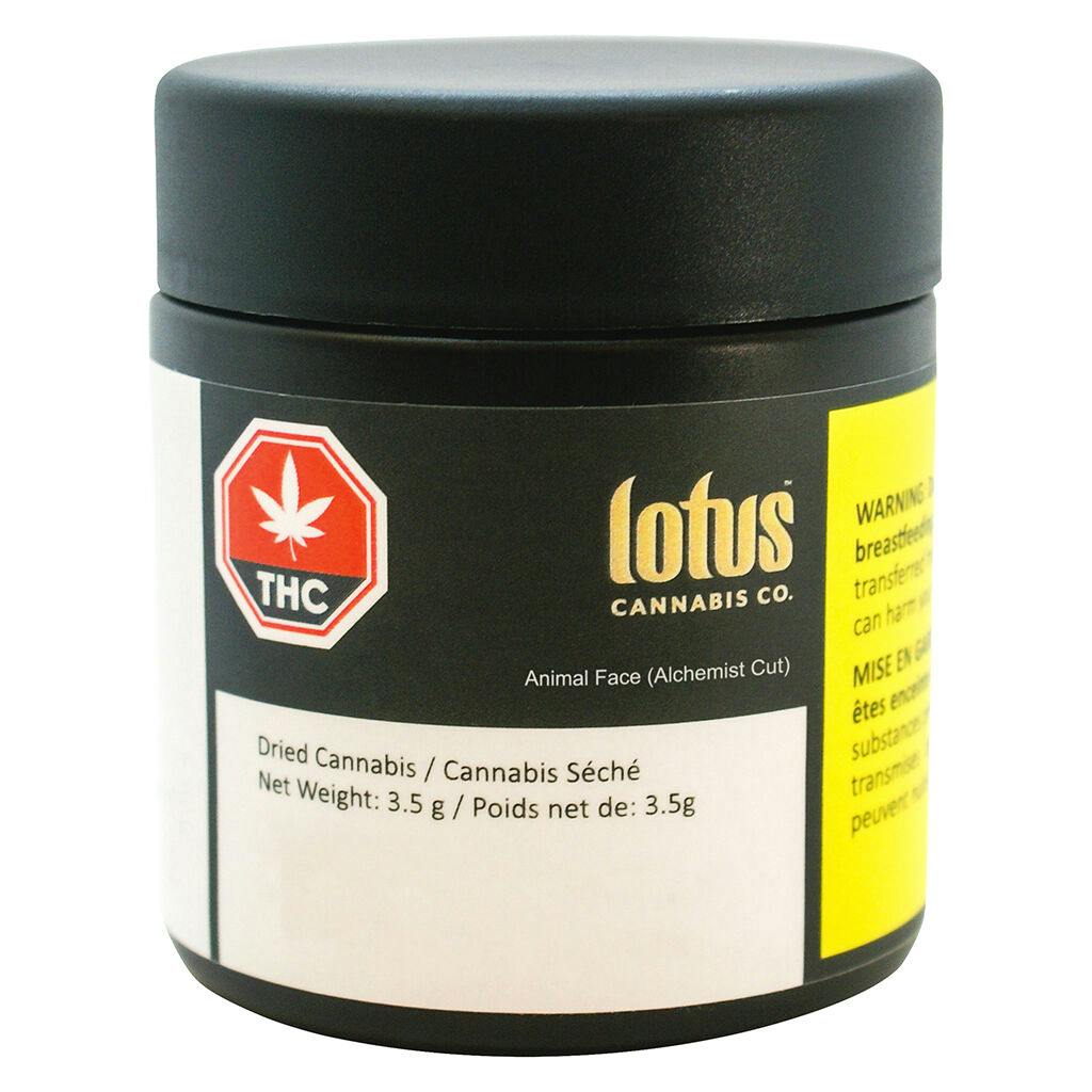 Lotus - animal face (alchemist cut)