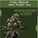Governmint Oasis | Fuel - Thumbnail 3